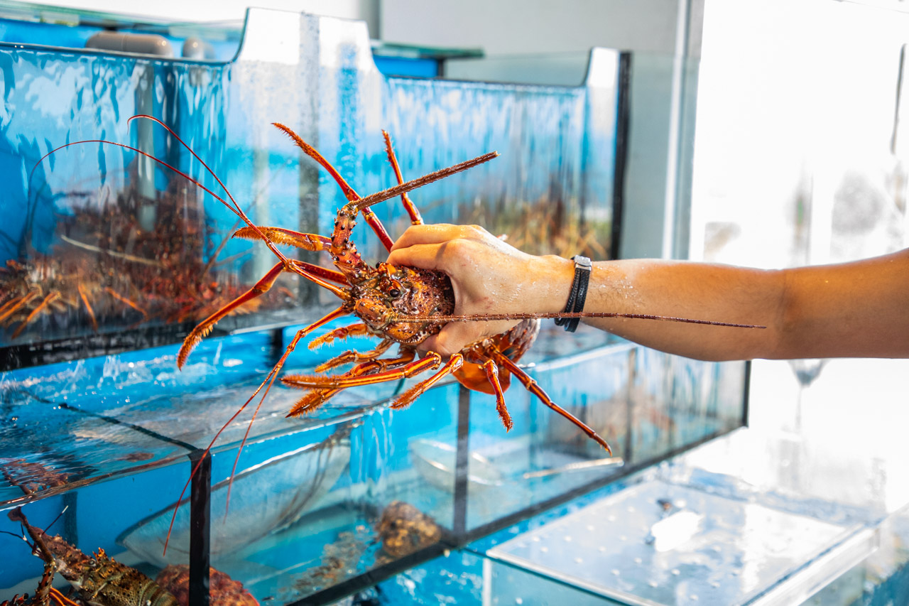 貢寮美食,貢寮海鮮,懸崖上的餐廳(Cilah海的味道) 貢寮美食,貢寮海鮮,懸崖上的餐廳(Cilah海的味道)