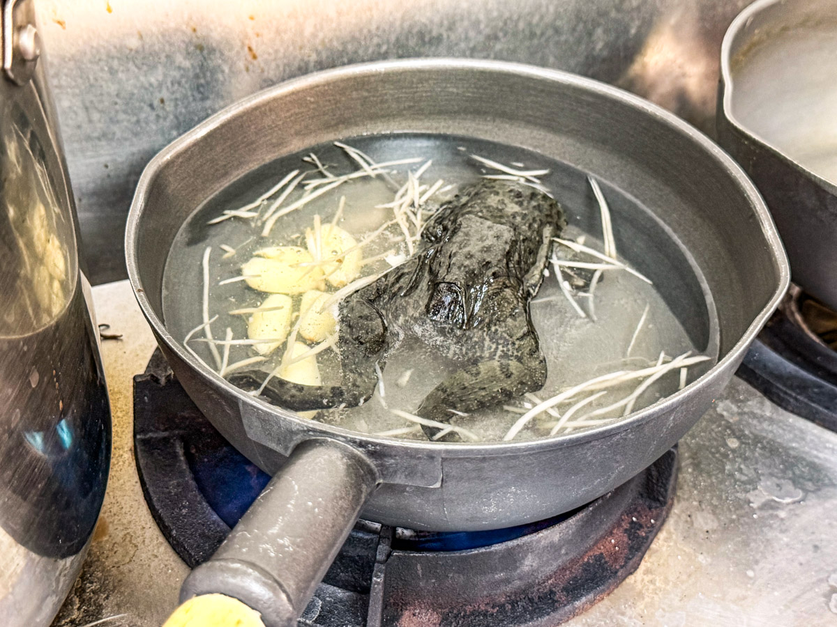 桃園美食,桃園小吃,桃園田雞湯,龜山田中青蛙湯