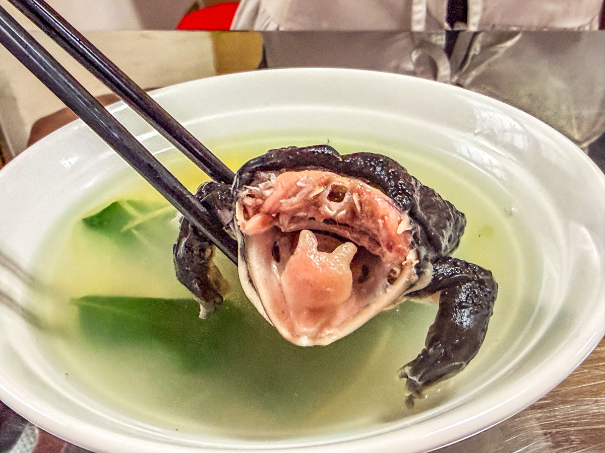 桃園美食,桃園小吃,桃園田雞湯,龜山田中青蛙湯